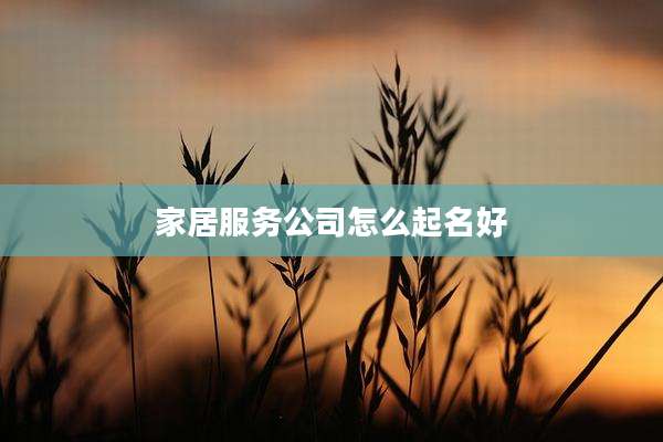 家居服务公司怎么起名好
