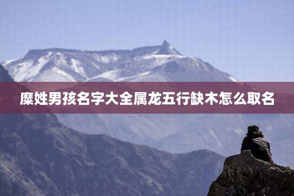 糜姓男孩名字大全属龙五行缺木怎么取名