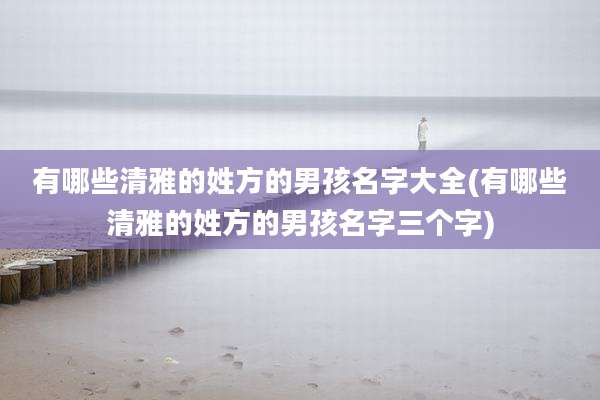 有哪些清雅的姓方的男孩名字大全(有哪些清雅的姓方的男孩名字三个字)