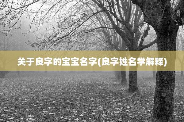 关于良字的宝宝名字(良字姓名学解释)