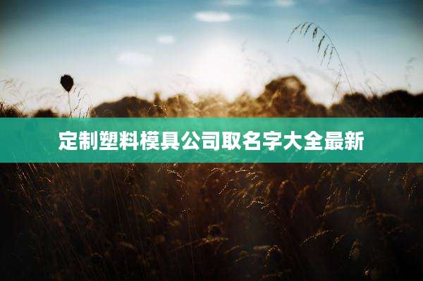 定制塑料模具公司取名字大全最新