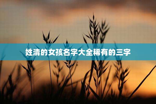 姓清的女孩名字大全稀有的三字
