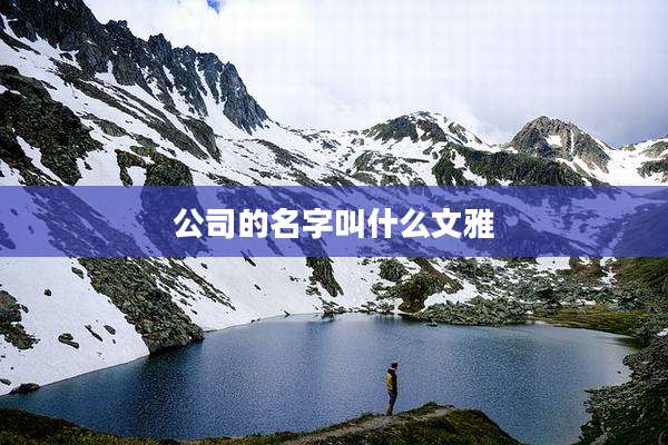 公司的名字叫什么文雅