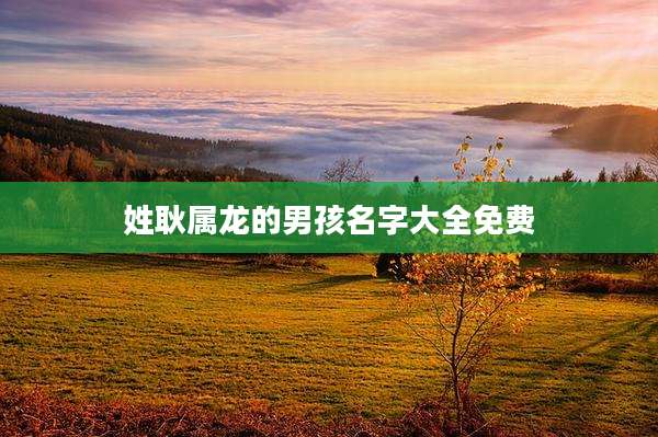 姓耿属龙的男孩名字大全免费