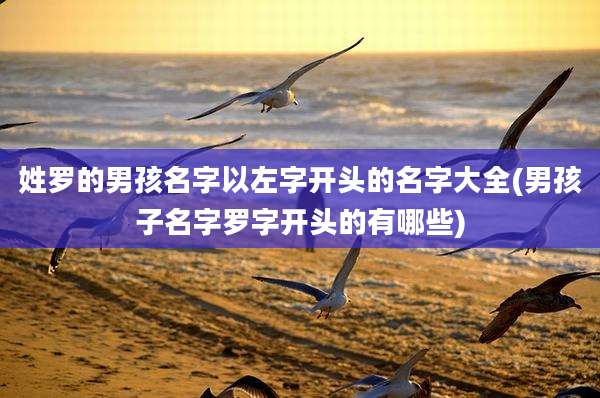 姓罗的男孩名字以左字开头的名字大全(男孩子名字罗字开头的有哪些)