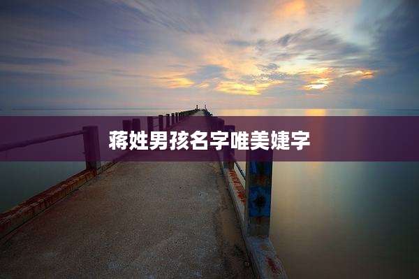 蒋姓男孩名字唯美婕字