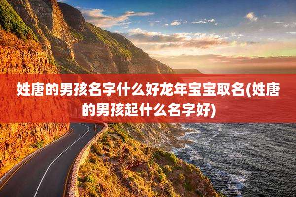姓唐的男孩名字什么好龙年宝宝取名(姓唐的男孩起什么名字好)