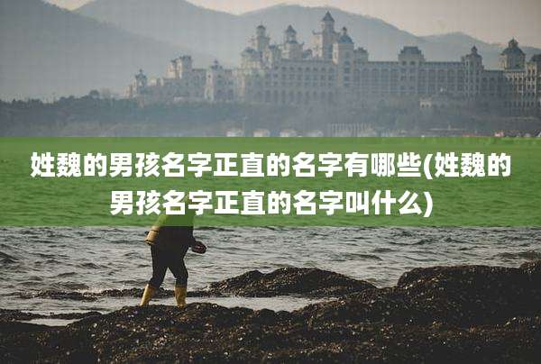 姓魏的男孩名字正直的名字有哪些(姓魏的男孩名字正直的名字叫什么)