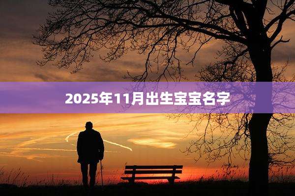 2025年11月出生宝宝名字