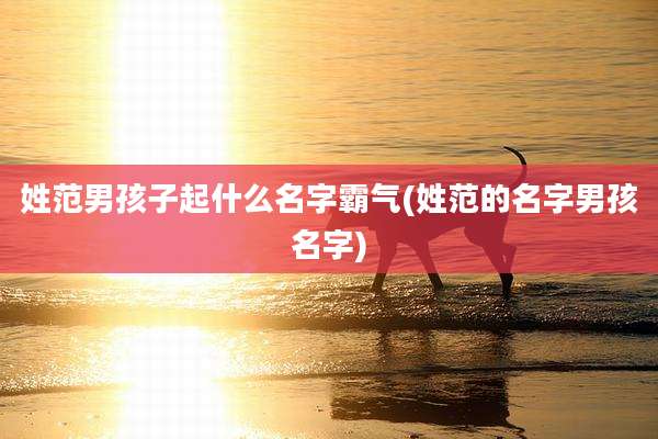 姓范男孩子起什么名字霸气(姓范的名字男孩名字)