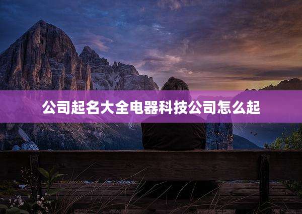 公司起名大全电器科技公司怎么起