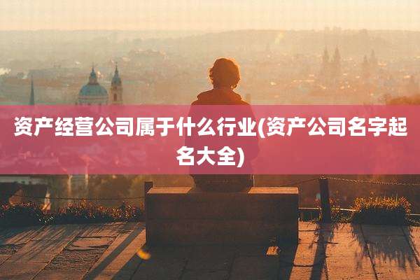 资产经营公司属于什么行业(资产公司名字起名大全)