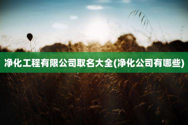 净化工程有限公司取名大全(净化公司有哪些)