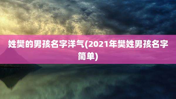 姓樊的男孩名字洋气(2021年樊姓男孩名字简单)