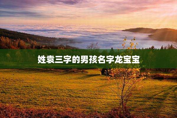 姓袁三字的男孩名字龙宝宝
