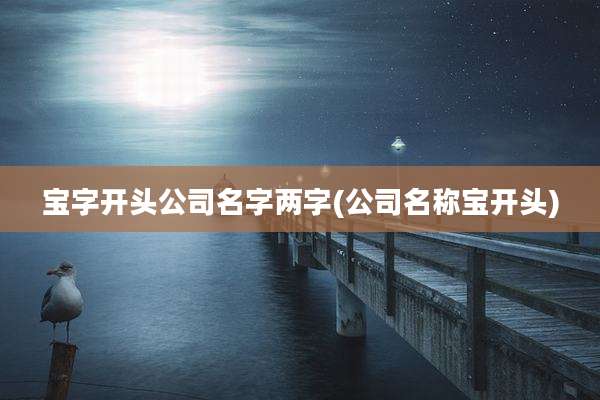 宝字开头公司名字两字(公司名称宝开头)