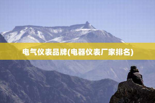 电气仪表品牌(电器仪表厂家排名)