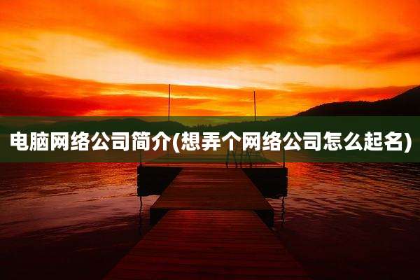 电脑网络公司简介(想弄个网络公司怎么起名)