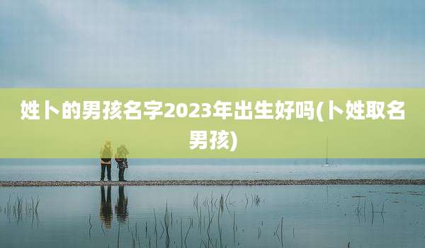 姓卜的男孩名字2023年出生好吗(卜姓取名男孩)