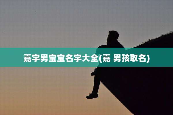 嘉字男宝宝名字大全(嘉 男孩取名)