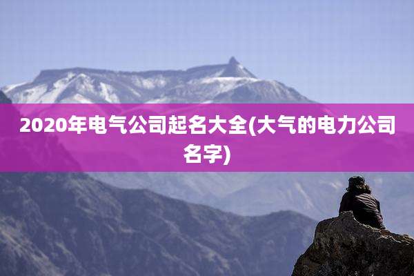 2020年电气公司起名大全(大气的电力公司名字)
