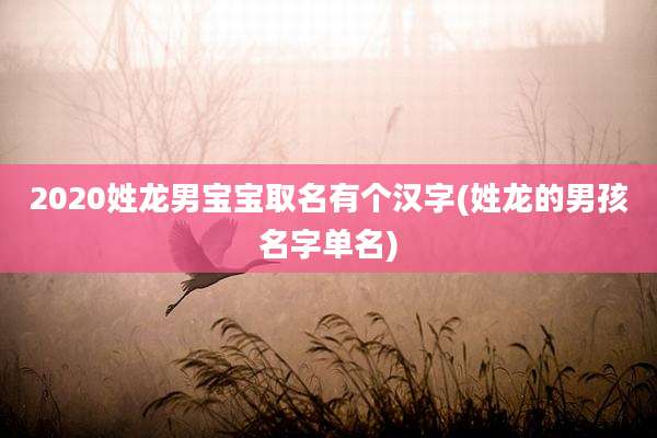 2020姓龙男宝宝取名有个汉字(姓龙的男孩名字单名)