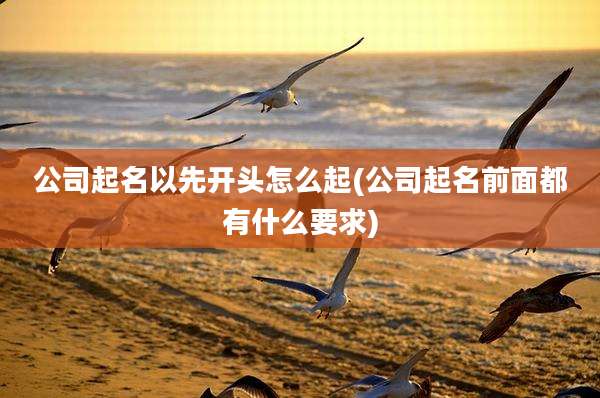公司起名以先开头怎么起(公司起名前面都有什么要求)