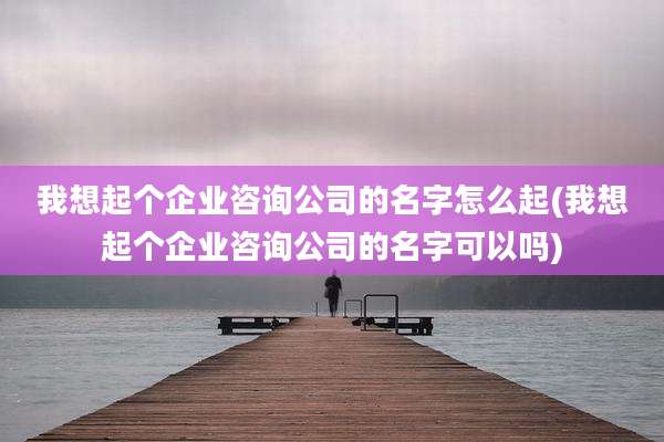 我想起个企业咨询公司的名字怎么起(我想起个企业咨询公司的名字可以吗)