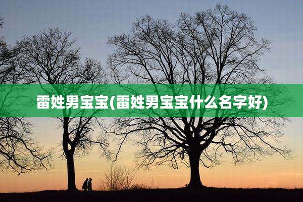 雷姓男宝宝(雷姓男宝宝什么名字好)