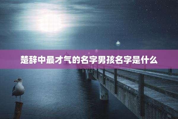 楚辞中最才气的名字男孩名字是什么