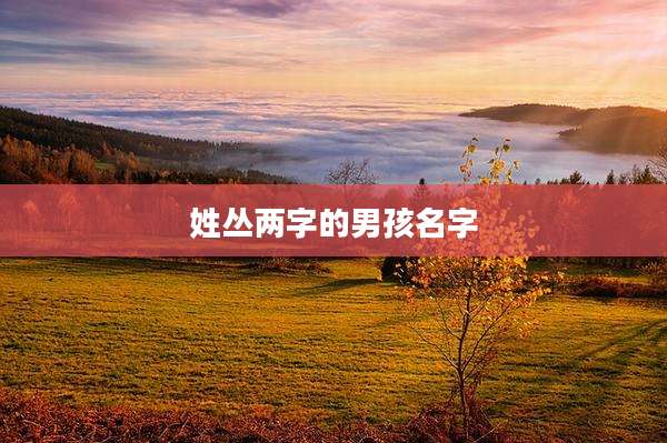 姓丛两字的男孩名字