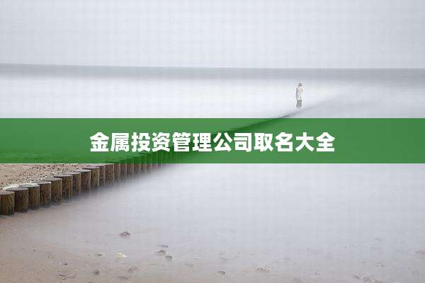 金属投资管理公司取名大全