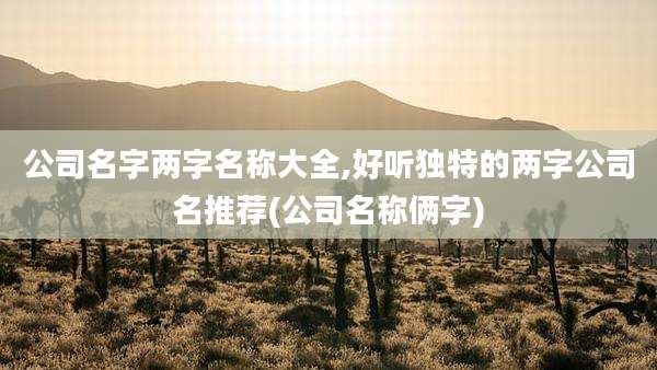 公司名字两字名称大全,好听独特的两字公司名推荐(公司名称俩字)
