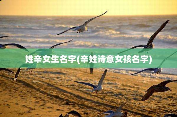 姓辛女生名字(辛姓诗意女孩名字)