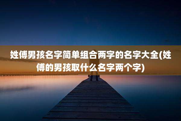 姓傅男孩名字简单组合两字的名字大全(姓傅的男孩取什么名字两个字)