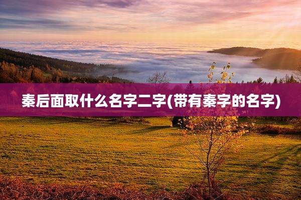 秦后面取什么名字二字(带有秦字的名字)