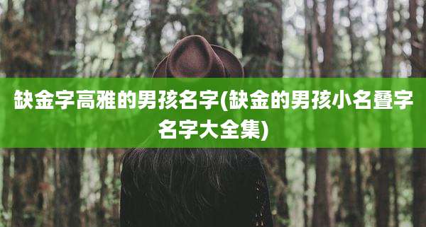 缺金字高雅的男孩名字(缺金的男孩小名叠字名字大全集)