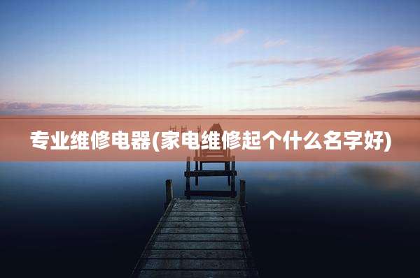 专业维修电器(家电维修起个什么名字好)