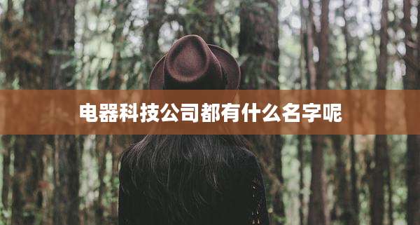 电器科技公司都有什么名字呢