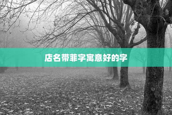 店名带菲字寓意好的字