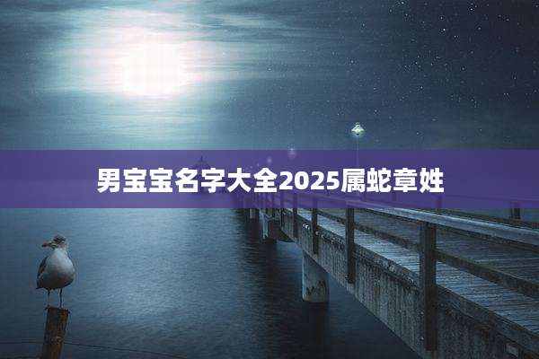 男宝宝名字大全2025属蛇章姓