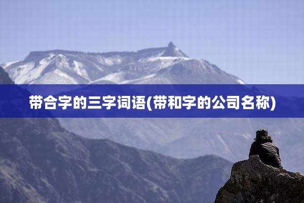 带合字的三字词语(带和字的公司名称)
