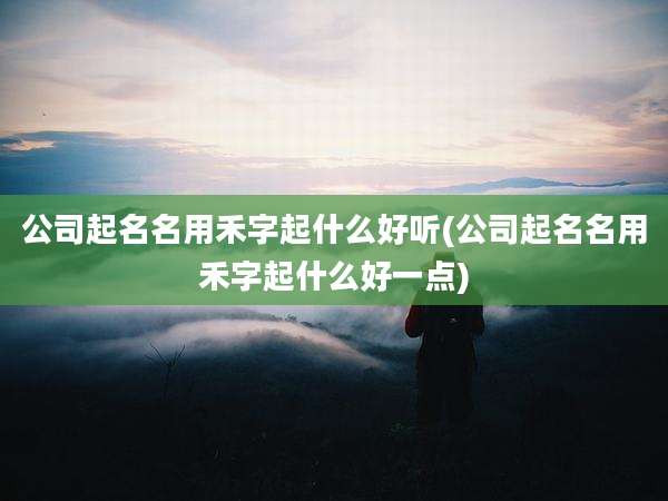 公司起名名用禾字起什么好听(公司起名名用禾字起什么好一点)