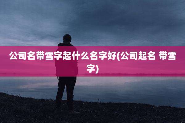 公司名带雪字起什么名字好(公司起名 带雪字)