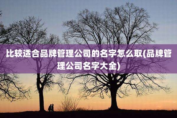 比较适合品牌管理公司的名字怎么取(品牌管理公司名字大全)