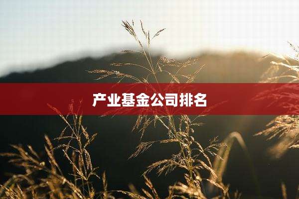 产业基金公司排名