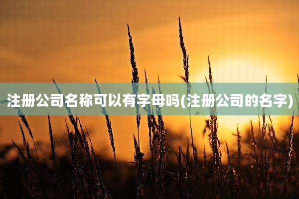 注册公司名称可以有字母吗(注册公司的名字)