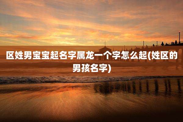 区姓男宝宝起名字属龙一个字怎么起(姓区的男孩名字)