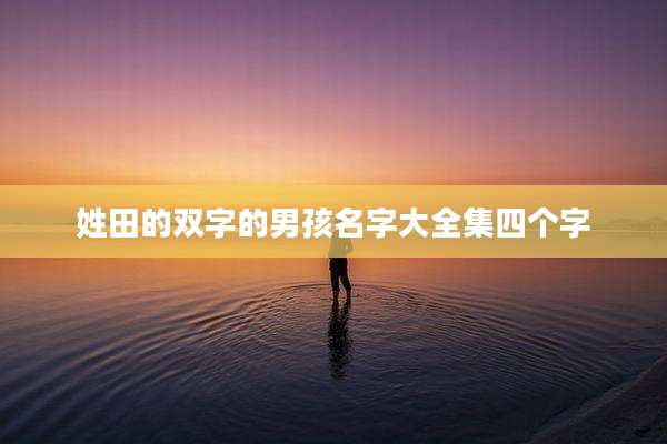 姓田的双字的男孩名字大全集四个字