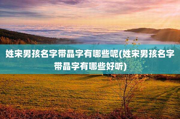 姓宋男孩名字带晶字有哪些呢(姓宋男孩名字带晶字有哪些好听)